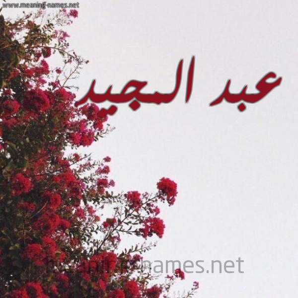 شكل 18 صوره الورد الأحمر للإسم بخط رقعة صورة اسم عبد المجيد Abd- Almajid